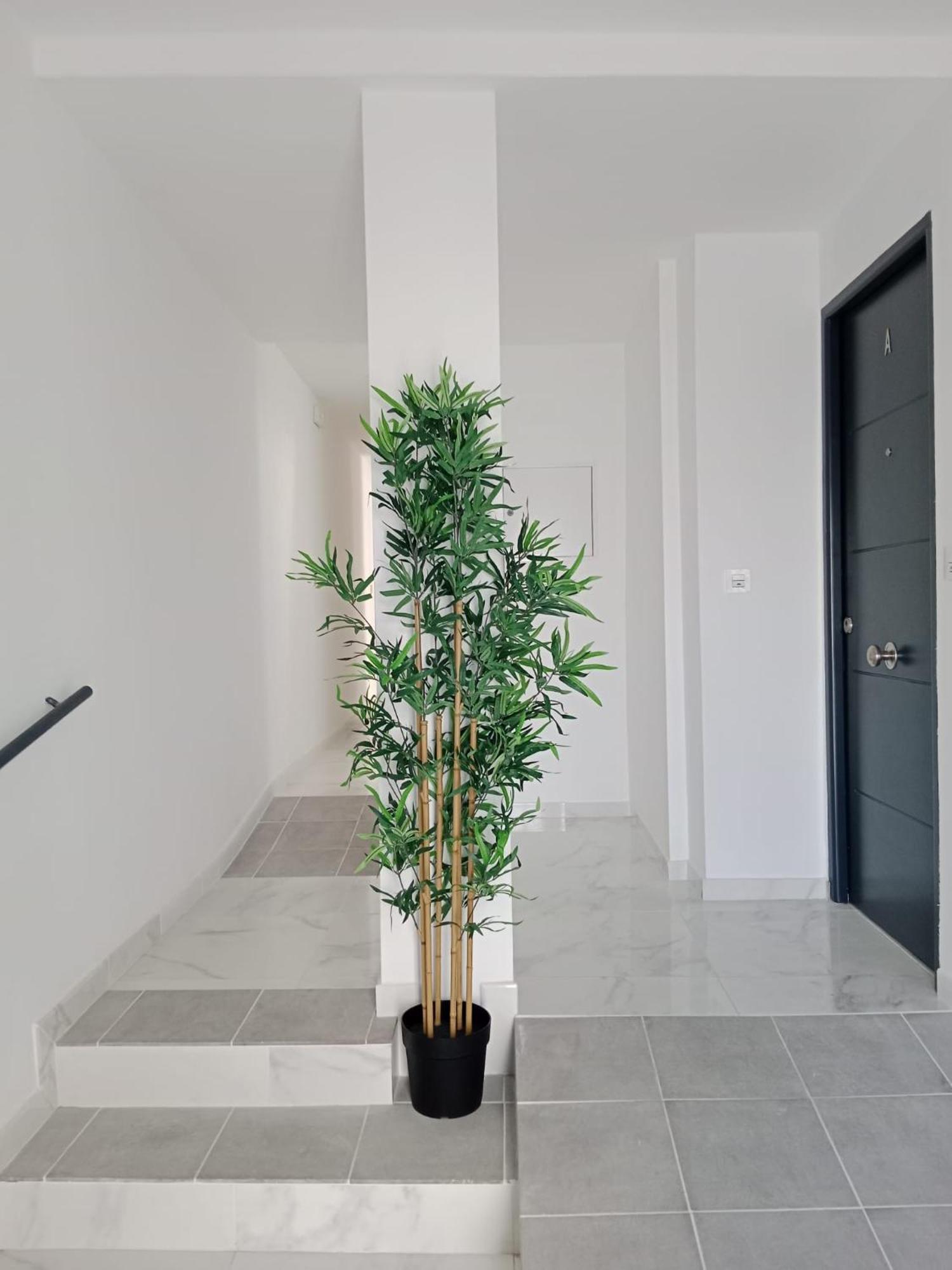 Apartamento Gloria Bendita Χέρεζ Εξωτερικό φωτογραφία